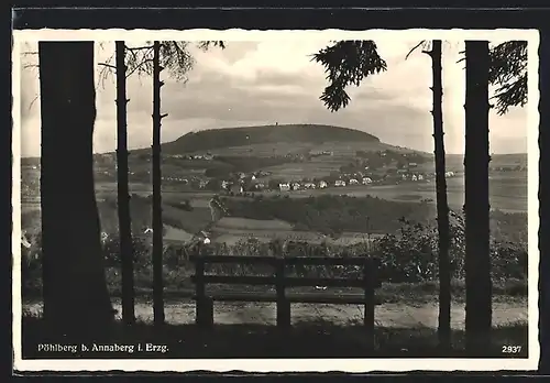 AK Pöhlberg b. Annaberg, Panorama mit Bäumen