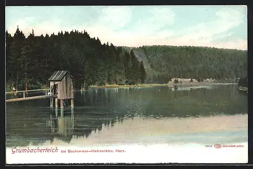 AK Bockswiese-Hahnenklee, Am Grumbacherteich