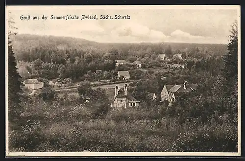 AK Zwiesel, Blick vom Waldesrand auf die Ortschaft