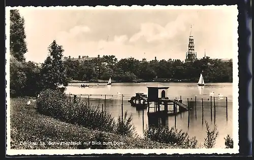 AK Zwickau /Sa., Schwanenteich mit Blick zum Dom