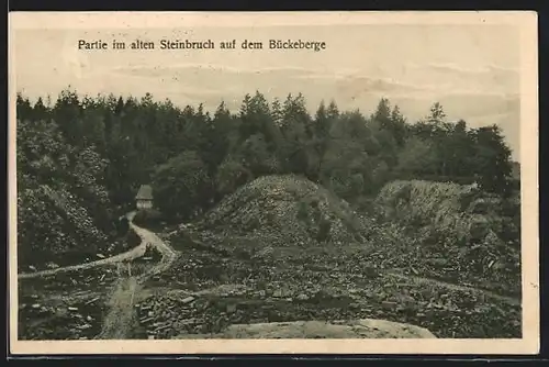 AK Obernkirchen, Alter Steinbruch auf dem Bückeberge