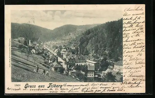 AK Triberg, Panorama