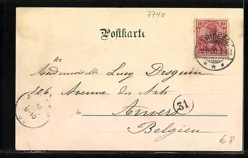 AK Triberg, Panorama