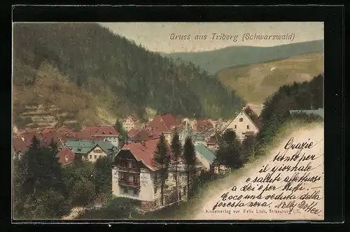 AK Triberg, Gesamtansicht mit Gebirgspanorama