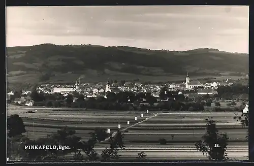 AK Pinkafeld im Bgld., Gesamtansicht