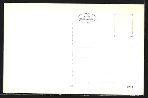 AK Pinkafeld im Burgenland, Gesamtansicht