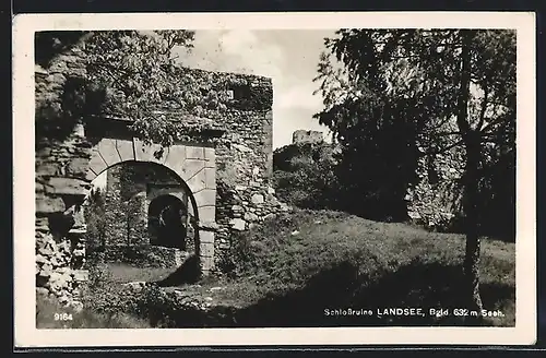 AK Landsee im Burgenland, Portal an der Schlossruine