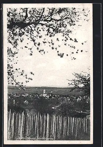 AK Lutzmannsburg an der Niederdonau, Gesamtansicht mit Kirche