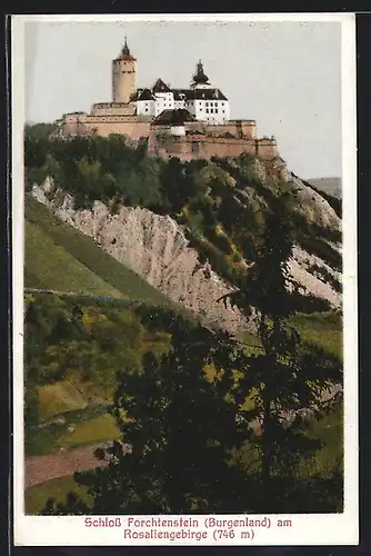 AK Forchtenstein, Schloss, Panoramablick, Rosaliengebirge
