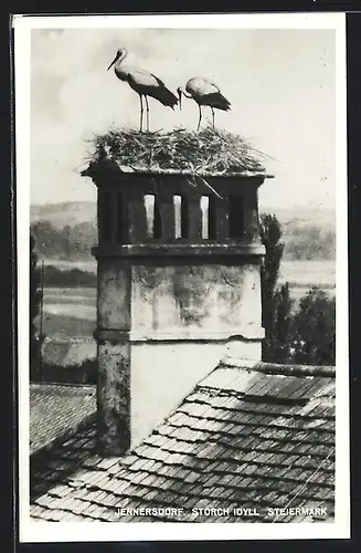 AK Jennersdorf, Storch Idyll, Nester auf Schornstein
