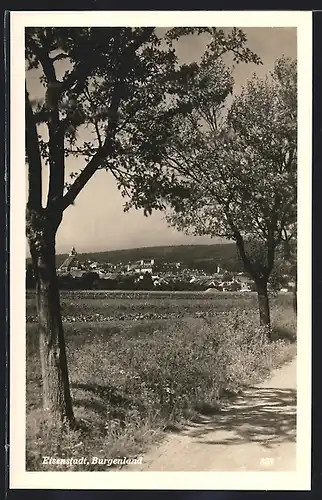 AK Eisenstadt im Burgenland, Panorama der Stadt vom Feldweg aus