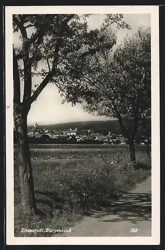 AK Eisenstadt im Burgenland, Panorama der Stadt von der Strasse aus