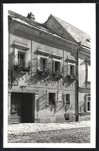 AK Eisenstadt im Burgenland, das Haydnmuseum