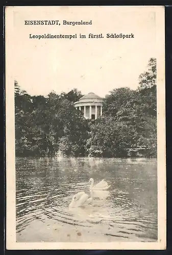 AK Eisenstadt im Burgenland, Leopoldinentempel im fürstl. Schlosspark