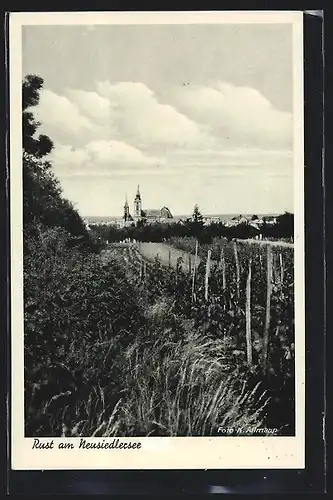 AK Rust am Neusiedlersee, Blick auf die Kirche im Ort