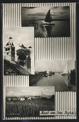 AK Rust am See im Burgenland, Ortspanorama, Storchennester, Segelboote