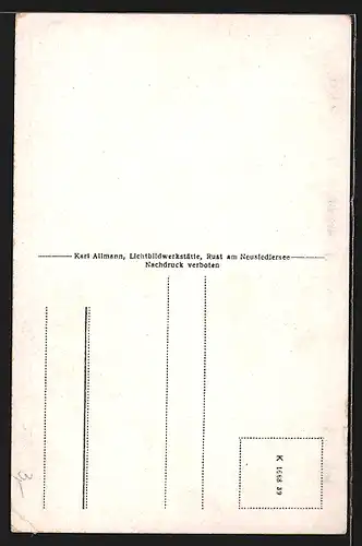AK Rust /Neusiedlersee, Blick auf Storch-Nest