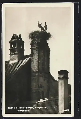 AK Rust am Neusiedlersee, Storchidyll