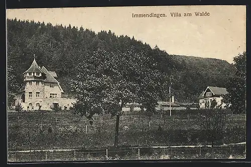 AK Immendingen, Die Villa am Walde