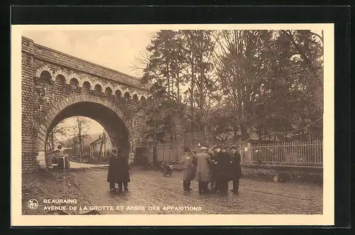 AK Beauraing, Avenue de la Grotte et Arbre des Apparitions