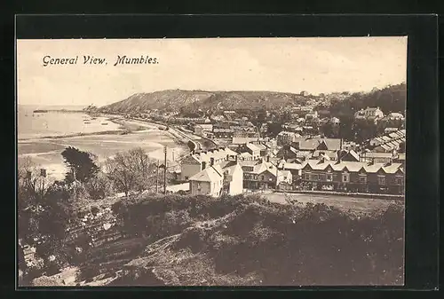 AK Mumbles, General View