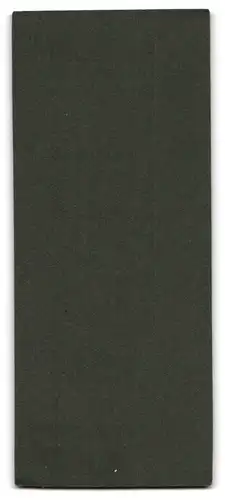 Fotografie H. Bohne, Kamenz i. S., Portrait dunkelhaarige Schönheit mit einem Fotoalbum am Tisch stehend