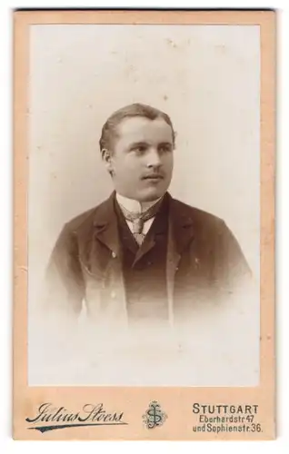 Fotografie Julius Stoess, Stuttgart, Portrait stattlicher Herr in modischer Kleidung mit Krawatte