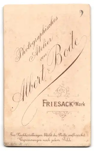 Fotografie Albert Bode, Friesack i. Mark, Portrait elegant gekleideter Mann mit Ansteckblume am Jackett