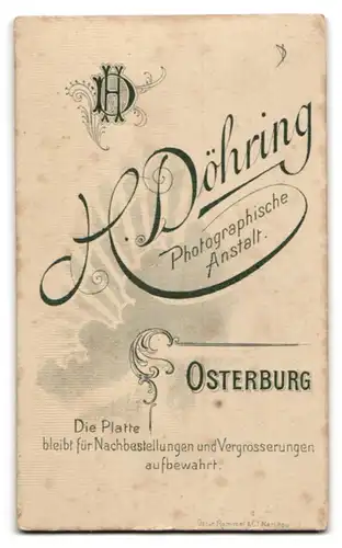 Fotografie H. Döhring, Osterburg, Portrait eleganter junger Herr im Anzug mit Krawatte