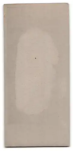Fotografie Th. Wenzel, Berlin, Portrait junge Dame in modischer Kleidung mit Fliege