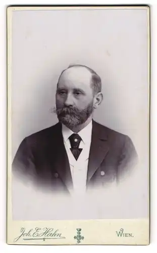 Fotografie Joh. E. Hahn, Wien, Portrait vollbärtiger Mann im Jacket mit Krawatte