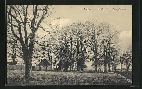 AK Asparn a. d. Zaya, Ortsansicht von der Schlosswiese gesehen
