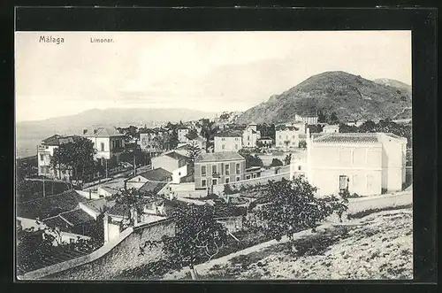 AK Malaga, Limonar, Panorama