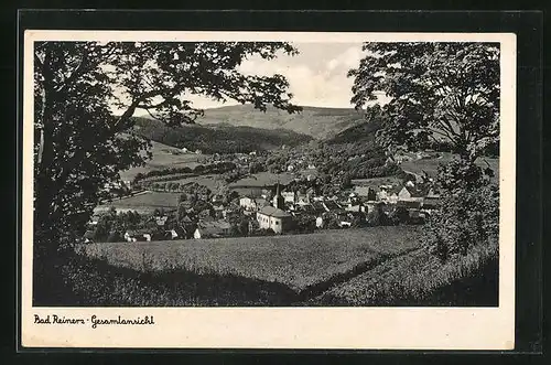 AK Bad Reinerz, Blick von der Bergwiese auf den Ort