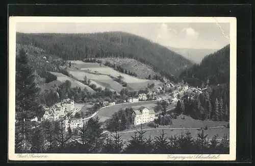 AK Bad Reinerz, Panoramablick vom Berg