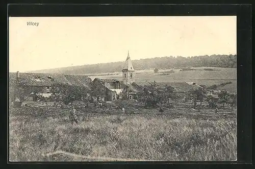 AK Vilcey, Panorama