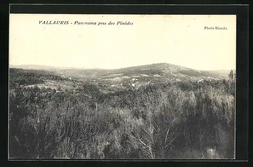 AK Vallauris, Panorama pris des Pinèdes