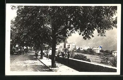 AK Villars-sur-Var, Sous les Marroniers