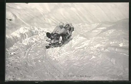 AK Rodelpartie im Schlitten bergab, Bobsleigh