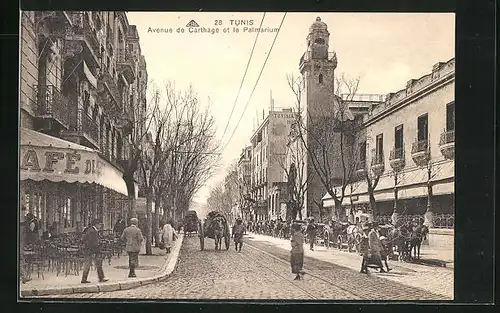 AK Tunis, Avenue de Carthage et le Palmarium