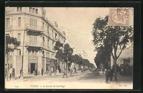AK Tunis, L`Avenue de Carthage, Strassenansicht