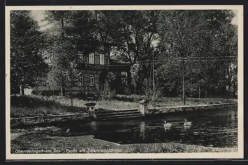 AK Oberröblingen am See, Partie am Strandschlösschen