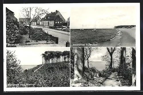 AK Surendorf, Waldweg bei Eckernholm, Steilküste Dän. Nienhof, Strassenpartie, Strand