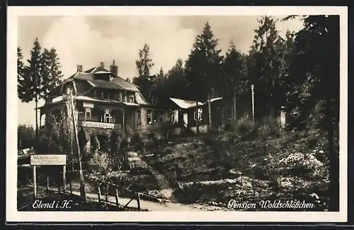 AK Elend i. H., Pension Waldschlösschen W. Witte mit Garten