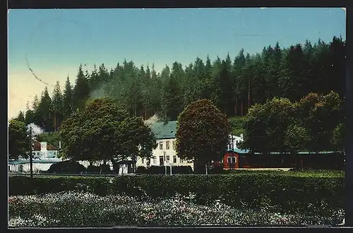 AK Rautenkranz i. V., Gasthof-Pension Frischhütte mit Umgebung