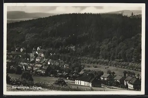 AK Bienenmühle im Erzgebirge, Gesamtansicht