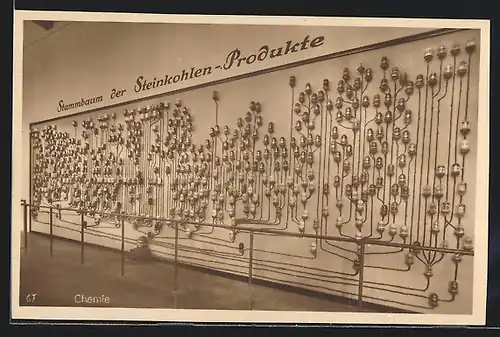 AK München, Deutsches Museum, Chemie, Stammbaum der Steinkohlen-Produkte