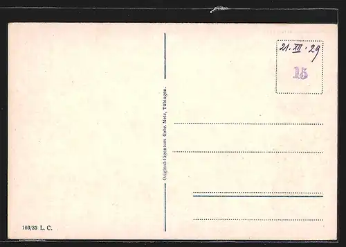 AK Lörrach, Gesamtansicht vom Flugzeug aus