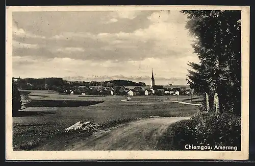 AK Amerang /Chiemgau, Ortsansicht mit Kirche