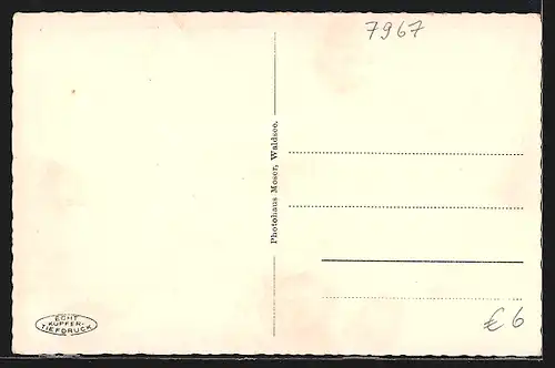 AK Bad Waldsee, Ortsansicht von oben